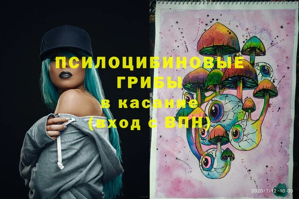 стафф Осташков