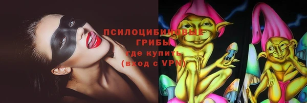 стафф Осташков