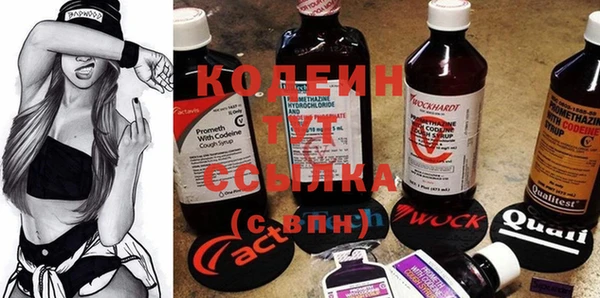 стафф Осташков