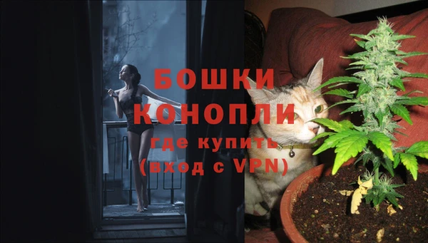 стафф Осташков
