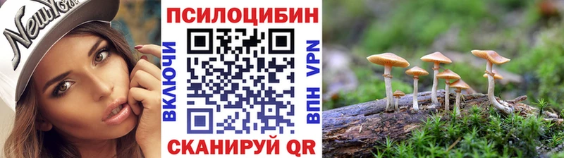 мега ссылки Покровск Псилоцибиновые грибы ЛСД где найти наркотики